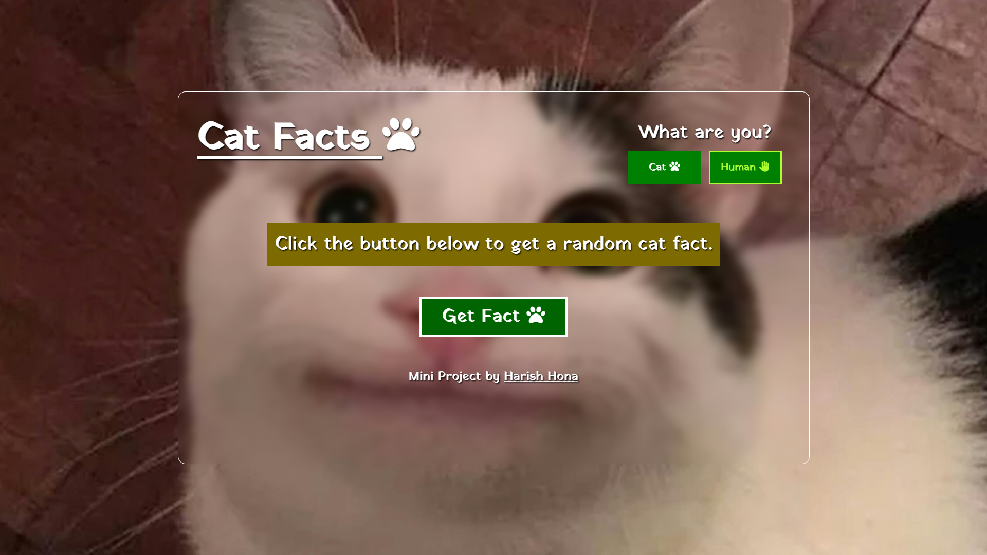 Cat Facts Generator